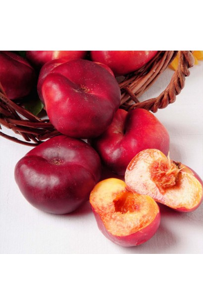 Врожай нектарину Концеттіна